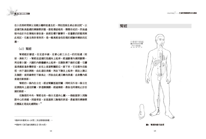 新巴赫花精療法3：花軌、針灸經絡與兒童治療