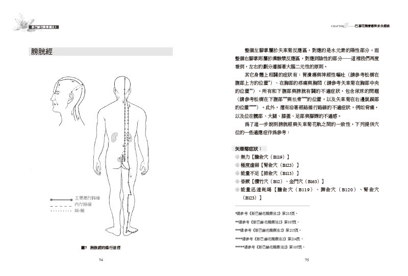 新巴赫花精療法3：花軌、針灸經絡與兒童治療