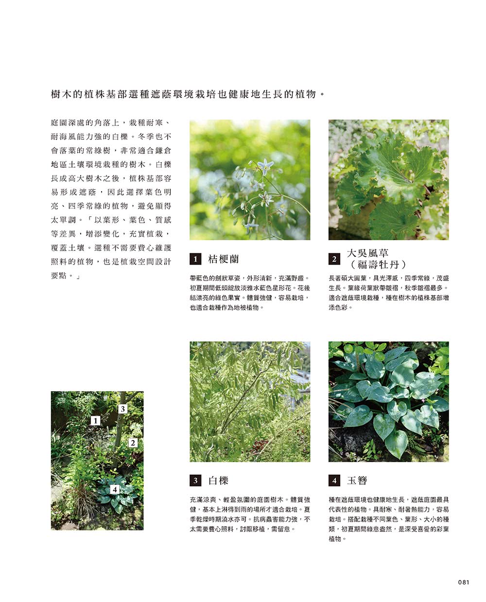 鎌倉花店主人的植物庭園設計生活學