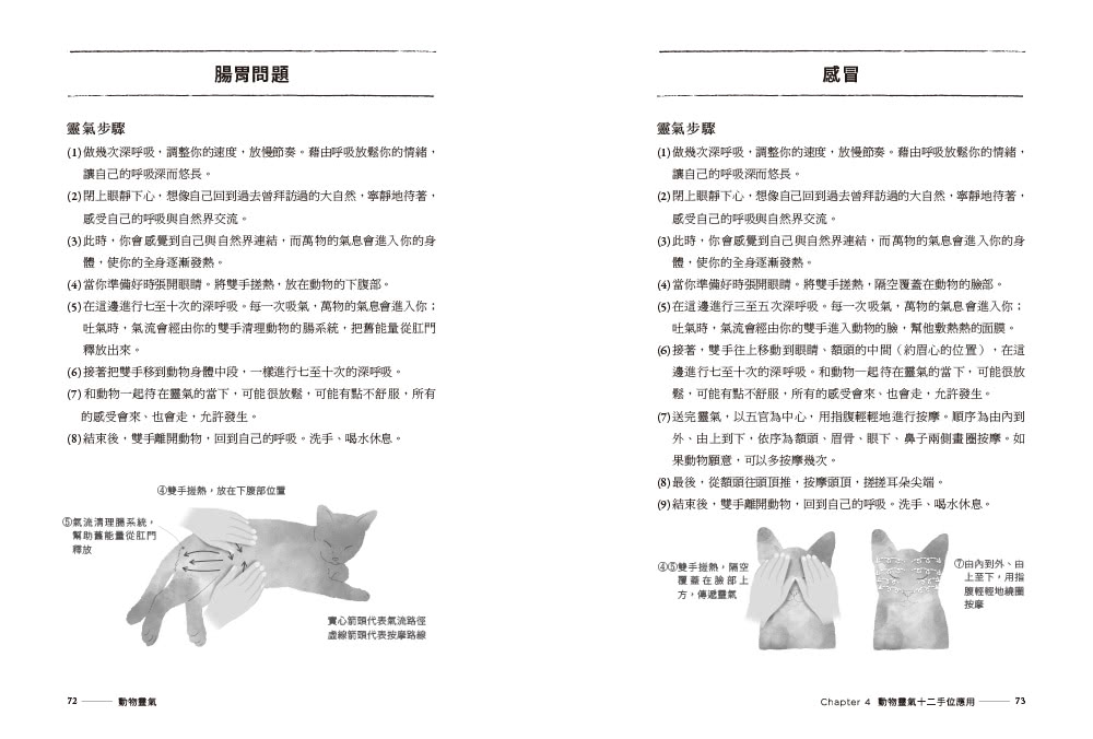 動物靈氣（隨書結合【動物靈氣之旅】互動式遊戲）：我和毛小孩的療癒之旅