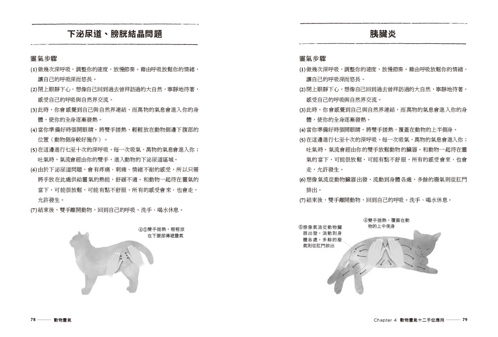 動物靈氣（隨書結合【動物靈氣之旅】互動式遊戲）：我和毛小孩的療癒之旅