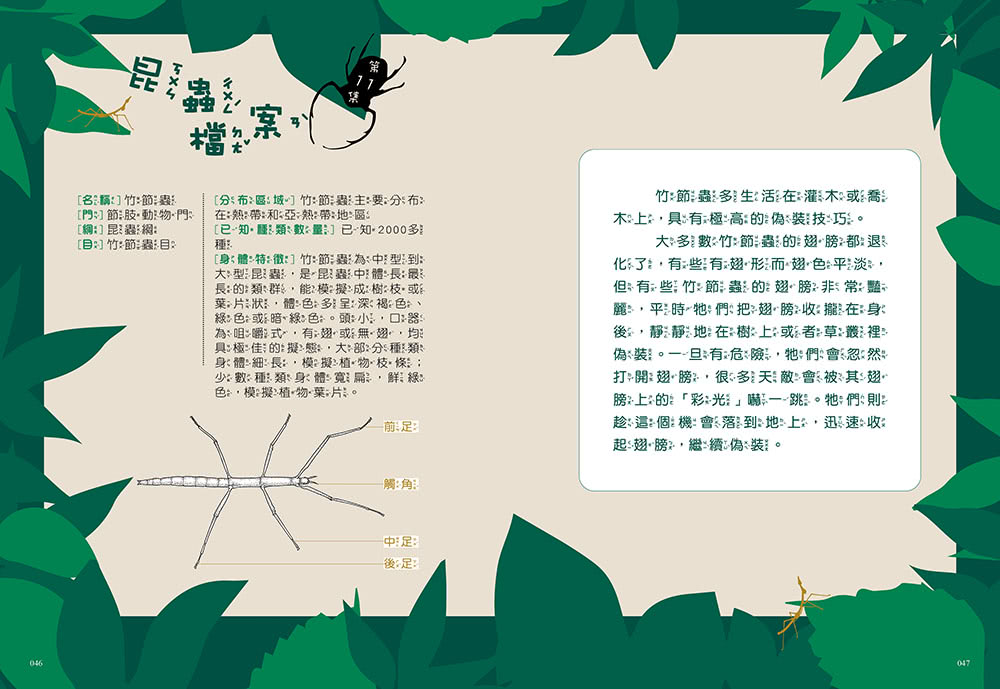 【神奇圖書館】昆蟲特戰隊 1-4冊套書﹝中高年級知識讀本﹞(加贈人物書卡一套)