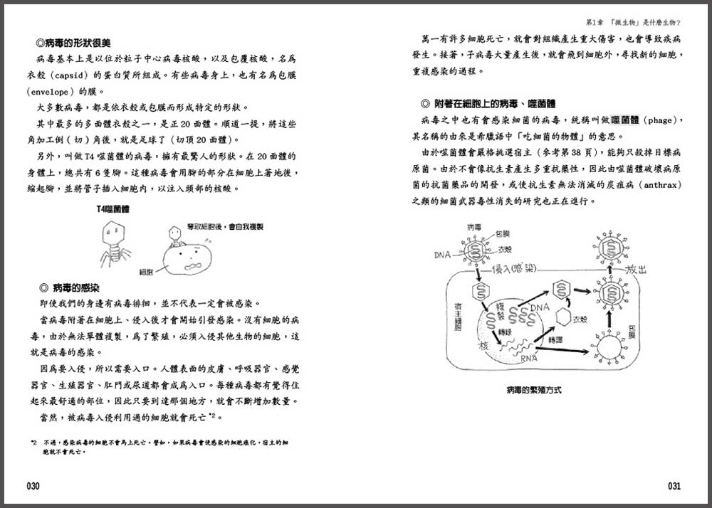 圖解把食物變超好吃和讓你生病、中毒的細菌、黴菌和病毒