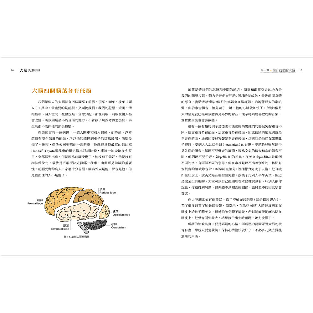 大腦說明書－誰在操控生活大小事？