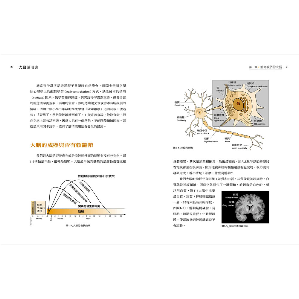 大腦說明書－誰在操控生活大小事？