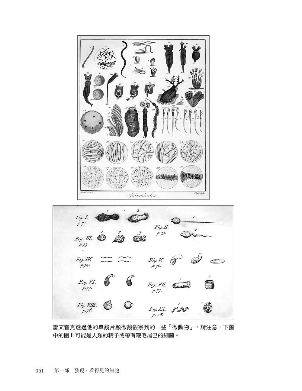 細胞之歌：探索醫學和新人類的未來