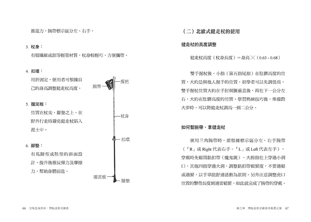 活動全身肌肉 開始北歐式健走：重拾肌耐力、改善行走能力 比跑步不傷膝蓋 比走路燃燒更多熱量的全身運動