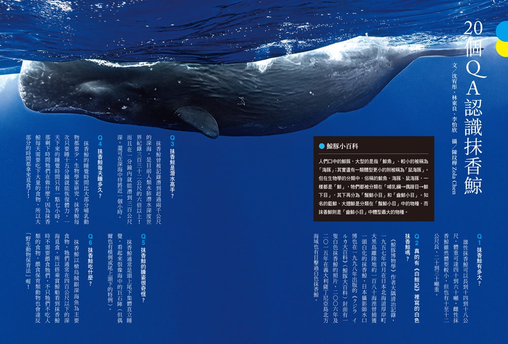 黑潮尋鯨：遇見噴風的抹香鯨（黑潮25年人文與科學調查紀錄首度公開）