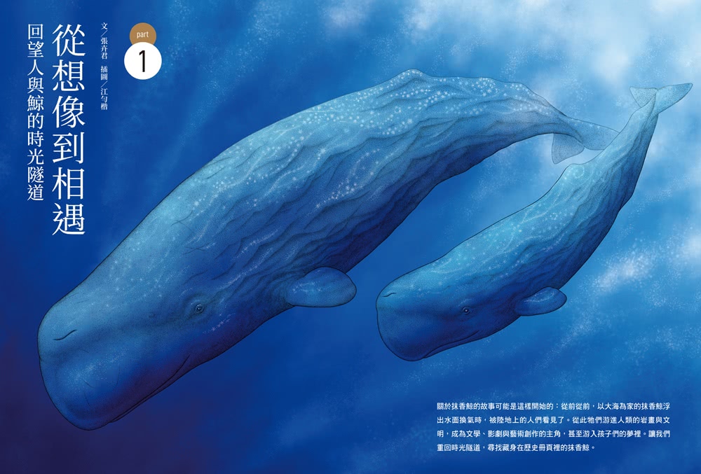 黑潮尋鯨：遇見噴風的抹香鯨（黑潮25年人文與科學調查紀錄首度公開）