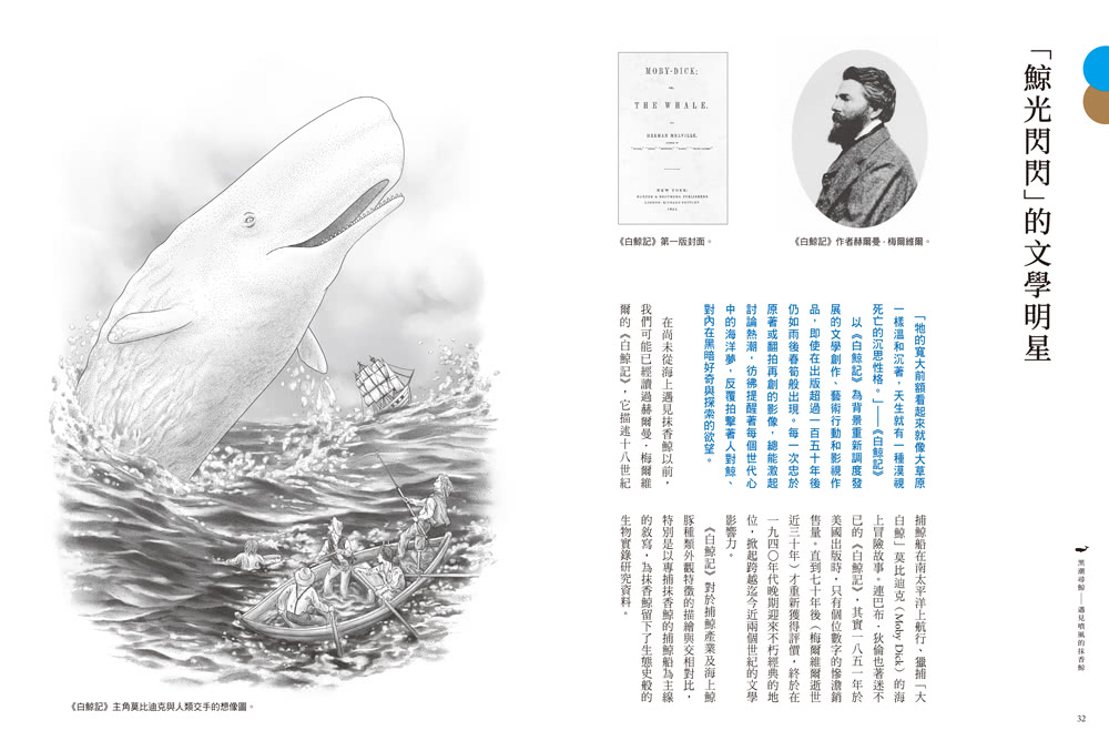 黑潮尋鯨：遇見噴風的抹香鯨（黑潮25年人文與科學調查紀錄首度公開）