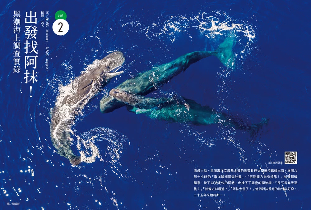 黑潮尋鯨：遇見噴風的抹香鯨（黑潮25年人文與科學調查紀錄首度公開）