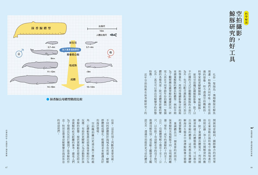 黑潮尋鯨：遇見噴風的抹香鯨（黑潮25年人文與科學調查紀錄首度公開）