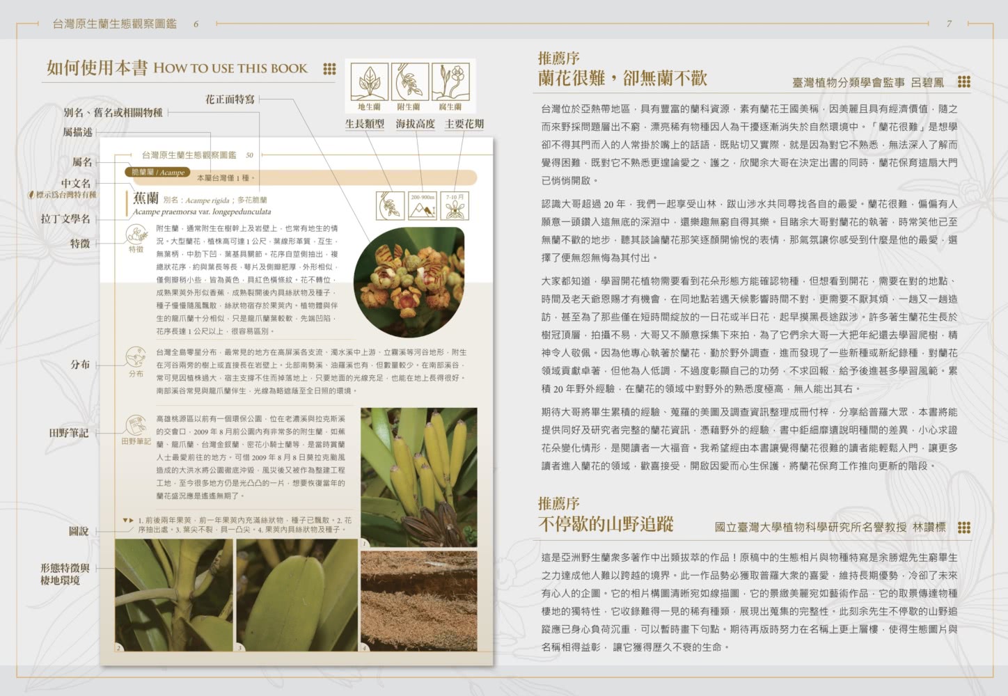 台灣原生蘭生態觀察圖鑑