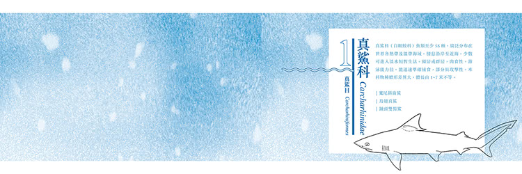 香港海水魚類圖鑑