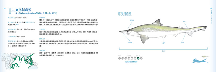 香港海水魚類圖鑑