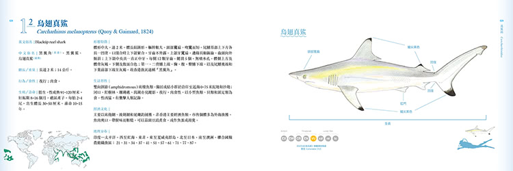香港海水魚類圖鑑