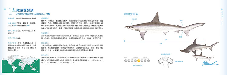 香港海水魚類圖鑑