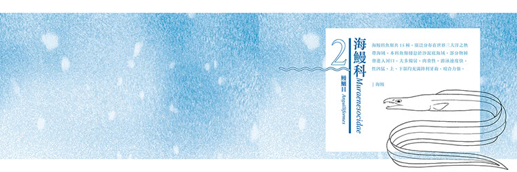 香港海水魚類圖鑑