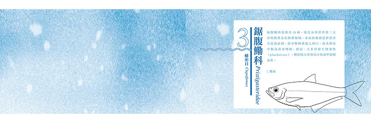 香港海水魚類圖鑑