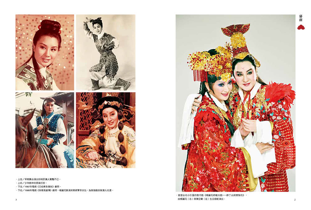 如有神在：楊麗花與她的時代