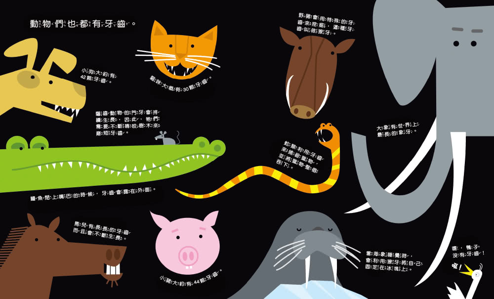 亮晶晶牙齒小百科：口腔保健知識繪本