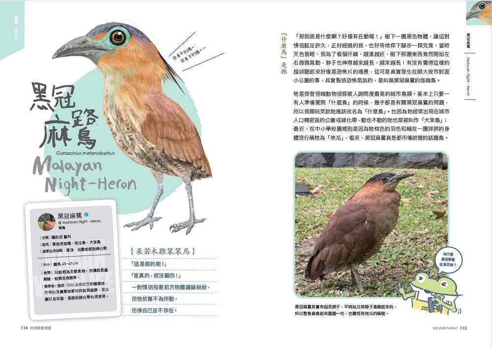 怪咖動物偵探 1：你家就是我家【首刷附贈怪咖動物明信片2款】