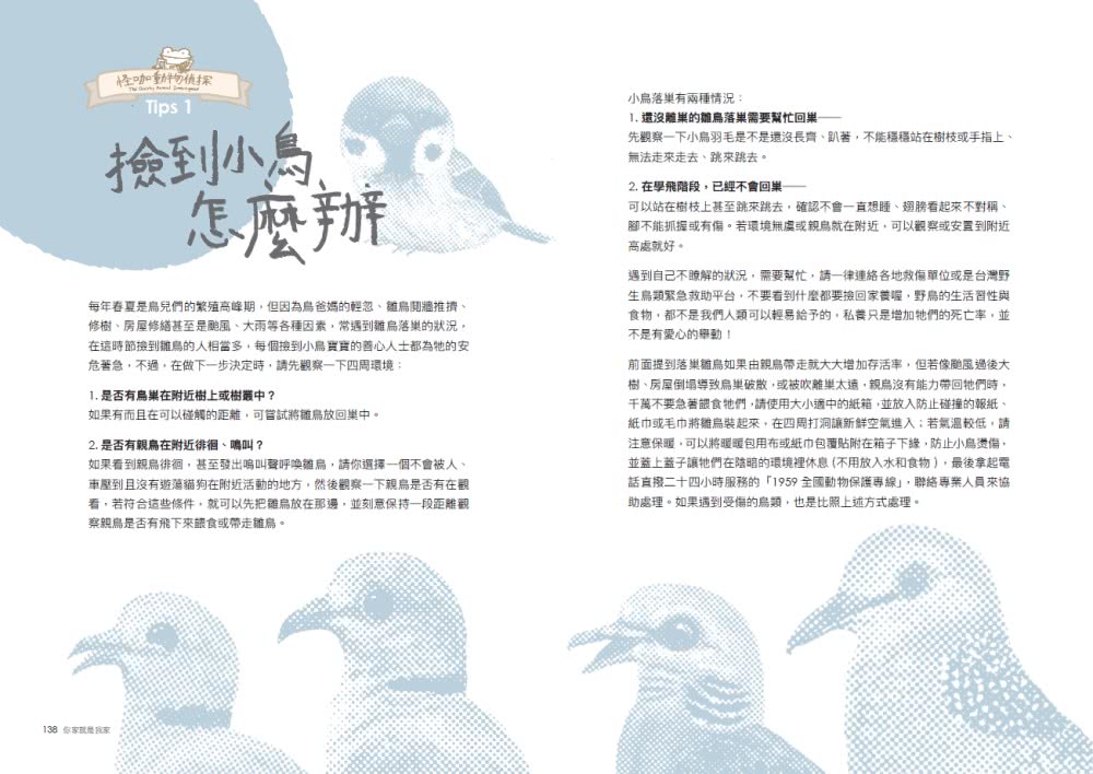 怪咖動物偵探 1：你家就是我家【首刷附贈怪咖動物明信片2款】