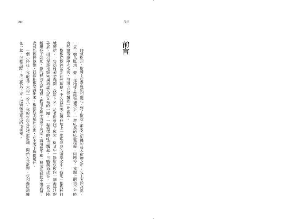 真菌微宇宙：地球上最高生存智慧的「類神經」網絡 最優雅的生態鍊金師