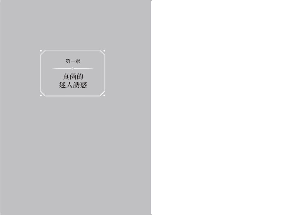 真菌微宇宙：地球上最高生存智慧的「類神經」網絡 最優雅的生態鍊金師