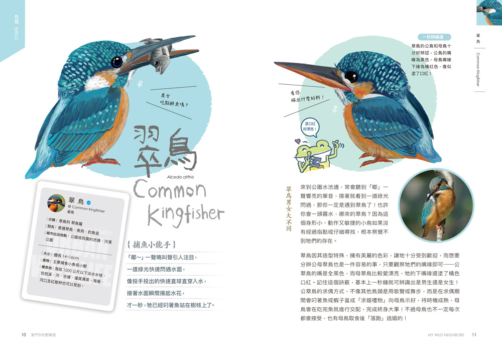 怪咖動物偵探2：家門外的野鄰居【動物圖鑑小海報收藏版】