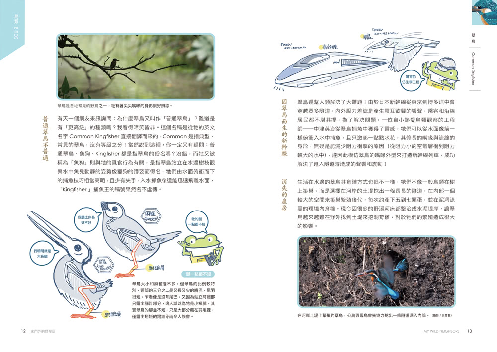 怪咖動物偵探2：家門外的野鄰居【動物圖鑑小海報收藏版】