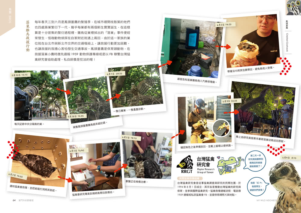 怪咖動物偵探2：家門外的野鄰居【動物圖鑑小海報收藏版】